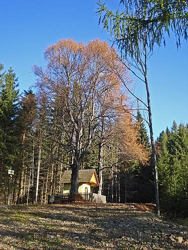 15 Zum Hocheck Kreuz